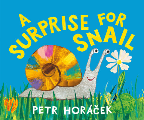 Cover Image for A Surprise for Snail -- Petr Horàcek, Hardcover