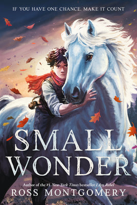 Cover Image for Small Wonder -- Ross Montgomery, Hardcover