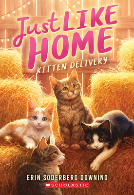 Cover Image for Kitten Delivery (Just Like Home, Book Two): Volume 2 -- Erin Soderberg Downing, Paperback