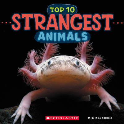 Cover Image for Strangest Animals (Wild World: Top 10) -- Brenna Maloney, Hardcover