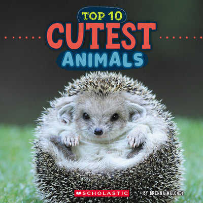 Cover Image for Cutest Animals (Wild World: Top 10) -- Brenna Maloney, Hardcover