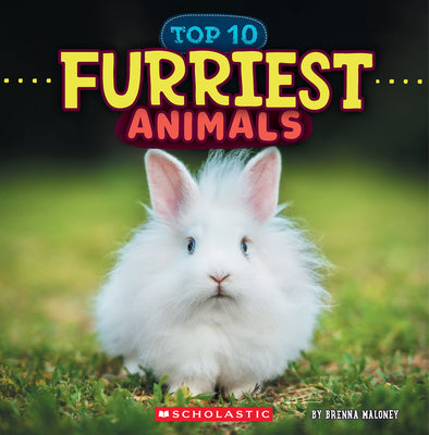 Cover Image for Furriest Animals (Wild World: Top 10) -- Brenna Maloney, Hardcover