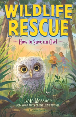 Cover Image for How to Save an Owl -- Kate Messner, Paperback