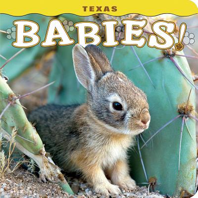 Cover Image for Texas Babies! -- Steph Lehmann, Hardcover