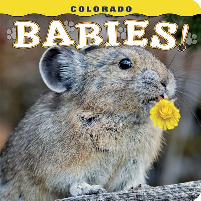 Cover Image for Colorado Babies! -- Steph Lemann, Board Books
