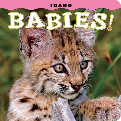 Cover Image for Idaho Babies! -- Steph Lehmann, Hardcover