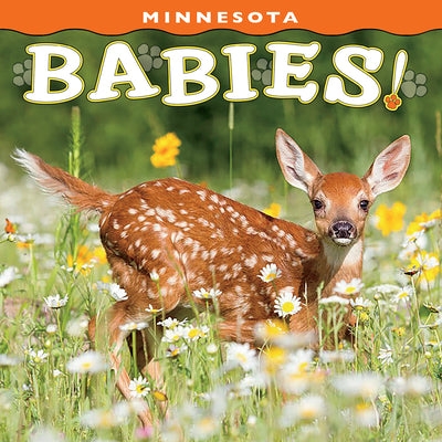Cover Image for Minnesota Babies! -- Farcountry Press, Board Books