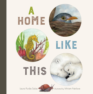Cover Image for A Home Like This -- Laura Purdie Salas, Board Books