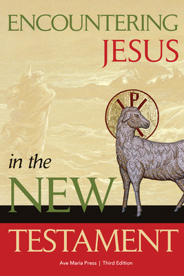 Cover Image for Encountering Jesus in the New Testament: Third Edition -- Ave Maria Press, Paperback
