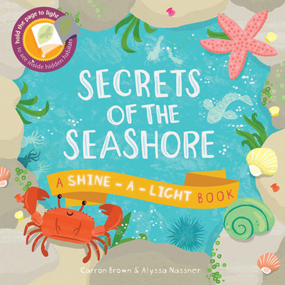 Cover Image for Secrets of the Seashore -- Carron Brown, Hardcover
