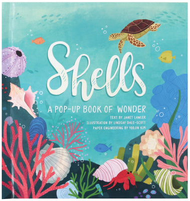 Cover Image for Shells: A Pop-Up Book of Wonder -- Janet Lawler, Hardcover