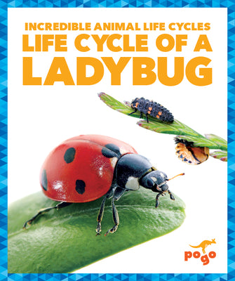 Cover Image for Life Cycle of a Ladybug -- Karen Kenney, Paperback