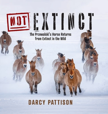 Cover Image for NOT Extinct: The Przewalski's Horse Returns from Extinct in the Wild -- Darcy Pattison, Hardcover