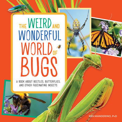 Cover Image for The Weird and Wonderful World of Bugs: A Book about Beetles, Butterflies, and Other Fascinating Insects -- Rea Manderino, Paperback