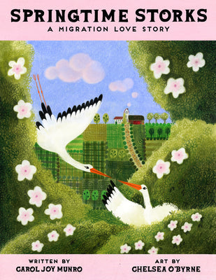 Springtime Storks: A Migration Love Story -- Carol Joy Munro, Hardcover