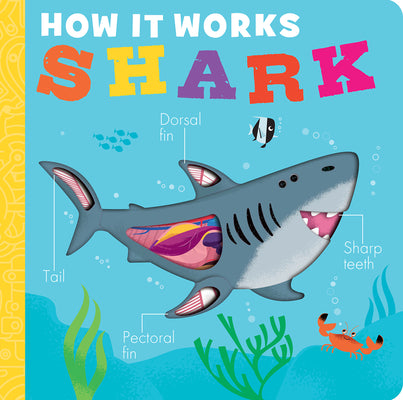 Cover Image for How It Works: Shark -- Molly Littleboy, Board Books