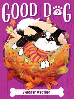Cover Image for Sweater Weather -- Cam Higgins, Paperback