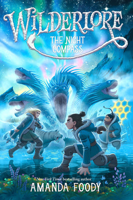 Cover Image for The Night Compass -- Amanda Foody, Paperback