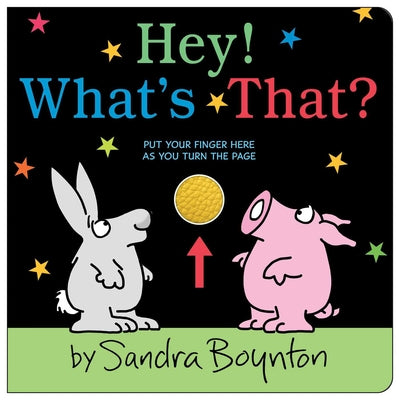 Hey! What's That? -- Sandra Boynton, Board Books