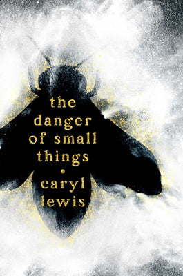 Cover Image for The Danger of Small Things -- Caryl Lewis, Hardcover
