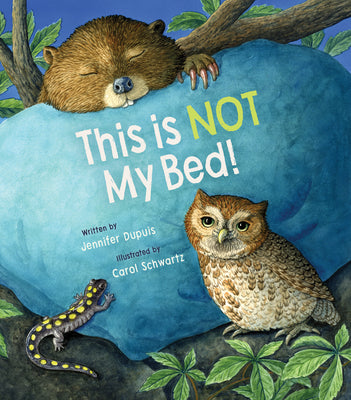 Cover Image for This Is Not My Bed! -- Jennifer Dupuis, Hardcover