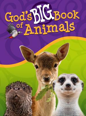 Cover Image for God's Big Book of Animals -- Orit Kashtan, Hardcover