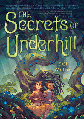 The Secrets of Underhill -- Kali Wallace, Hardcover