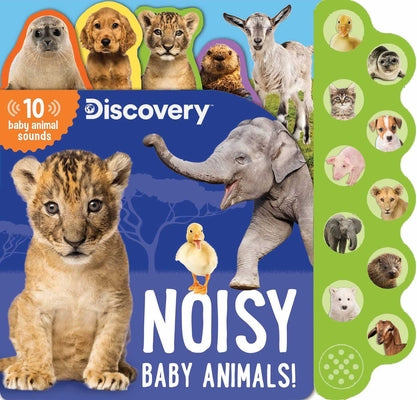 Cover Image for Discovery: Noisy Baby Animals! -- Thea Feldman, Board Books
