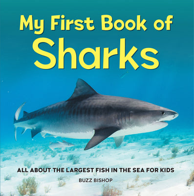 Cover Image for My First Book of Sharks: All about the Largest Fish in the Sea for Kids -- Buzz Bishop, Paperback