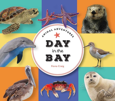 Cover Image for Animal Adventures: Day in the Bay -- Fiona Craig, Board Books
