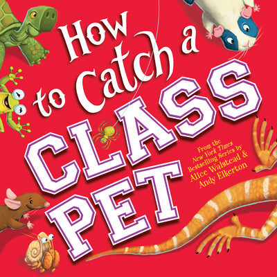 Cover Image for How to Catch a Class Pet -- Alice Walstead, Hardcover