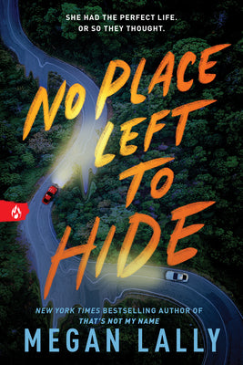 Cover Image for No Place Left to Hide -- Megan Lally, Paperback