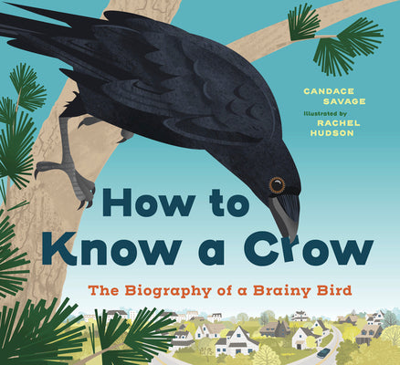 Cover Image for How to Know a Crow: The Biography of a Brainy Bird -- Candace Savage, Hardcover