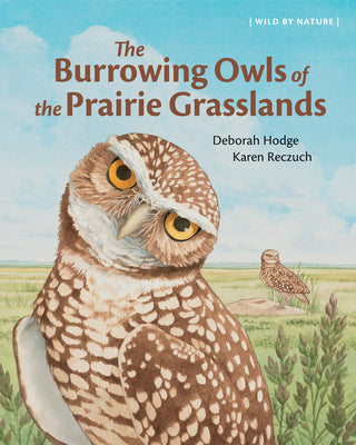 Cover Image for The Burrowing Owls of the Prairie Grasslands -- Deborah Hodge, Hardcover