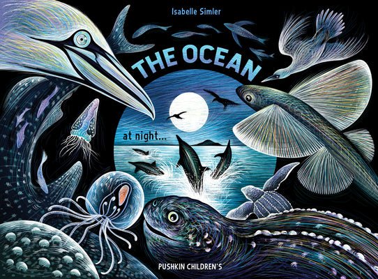 Cover Image for The Ocean at Night -- Isabelle Simler, Hardcover