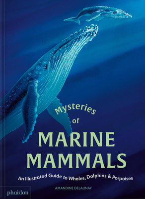 Cover Image for Mysteries of Marine Mammals: An Illustrated Guide to Whales, Dolphins, and Porpoises -- Amandine Delaunay, Hardcover