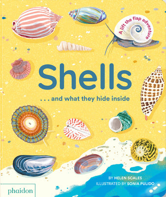 Shells... and What They Hide Inside: A Lift-The-Flap Adventure -- Helen Scales, Board Books