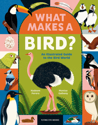 Cover Image for What Makes a Bird?: An Illustrated Guide to the Bird World -- Nadeem Perera, Hardcover