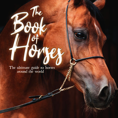 Cover Image for The Book of Horses: The Ultimate Guide to Horses Around the World -- Mortimer Children's Books, Paperback