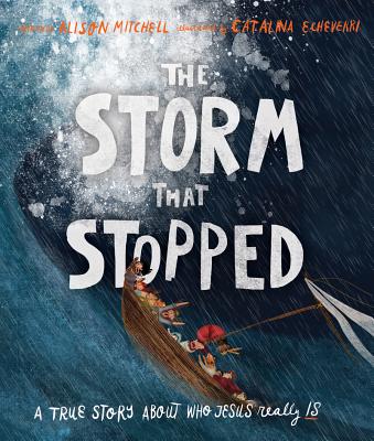Cover Image for The Storm That Stopped Storybook: A True Story about Who Jesus Really Is -- Alison Mitchell, Hardcover