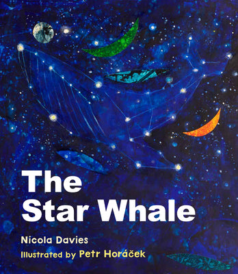 Cover Image for The Star Whale -- Petr Horacek, Hardcover