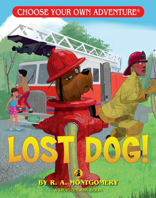 Cover Image for Lost Dog! -- R. a. Montgomery, Paperback