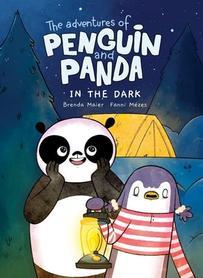 Cover Image for The Adventures of Penguin and Panda: In the Dark (Vol 4): A Graphic Novel -- Brenda Maier, Hardcover
