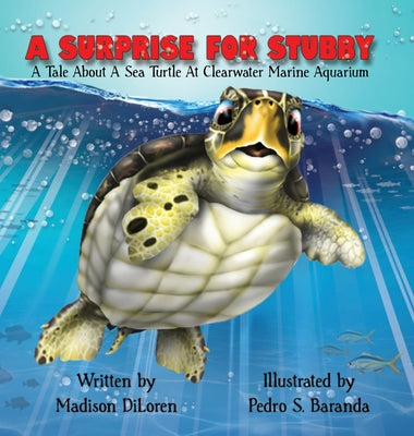 Cover Image for A Surprise for Stubby -- Madison Diloren, Hardcover