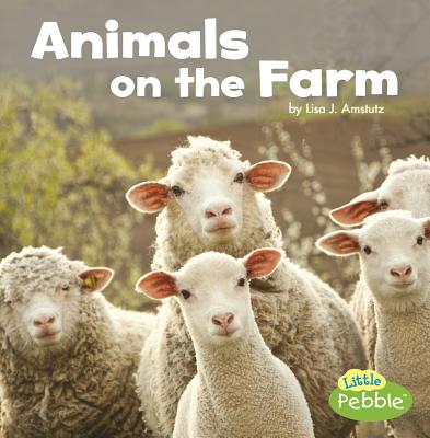 Cover Image for Animals on the Farm -- Lisa J. Amstutz, Paperback