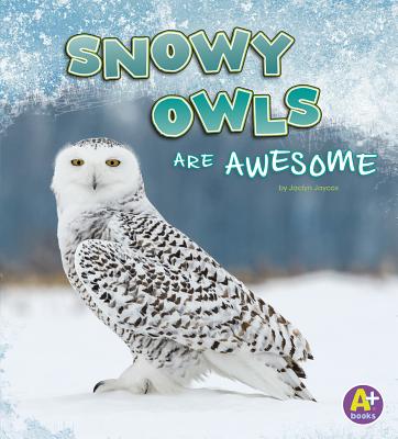 Cover Image for Snowy Owls Are Awesome -- Jaclyn Jaycox, Paperback