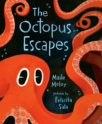 Cover Image for The Octopus Escapes -- Maile Meloy, Hardcover