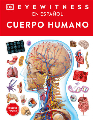 Cover Image for Eyewitness: Cuerpo Humano (Human Body) -- DK, Hardcover