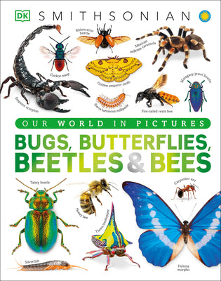 Cover Image for Our World in Pictures Bugs, Butterflies, Beetles and Bees -- DK, Hardcover