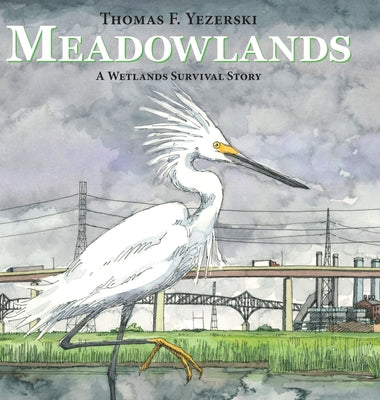 Cover Image for Meadowlands: A Wetlands Survival Story -- Thomas F. Yezerski, Hardcover